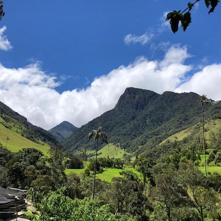 Cabanas Valle Del Cocora La Truchera ซาเลนโต ภายนอก รูปภาพ