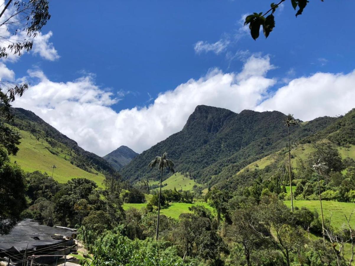 Cabanas Valle Del Cocora La Truchera ซาเลนโต ภายนอก รูปภาพ