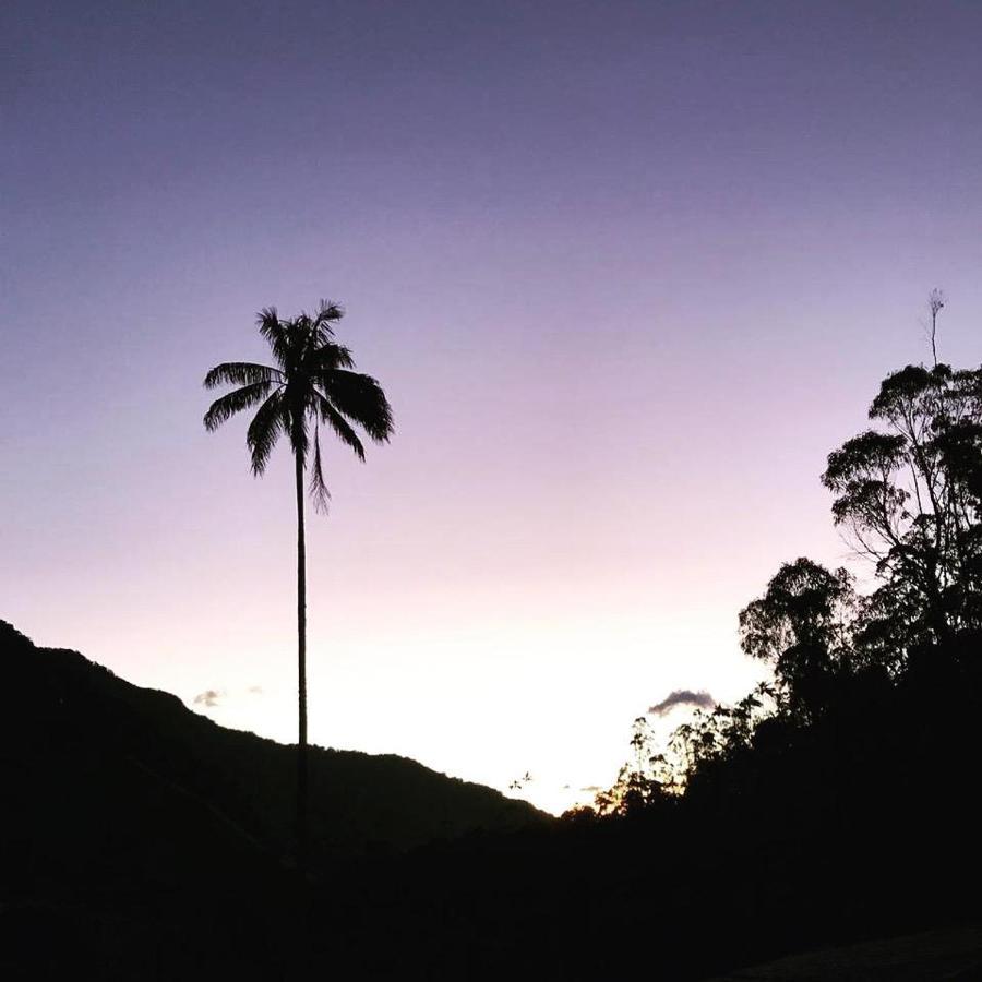Cabanas Valle Del Cocora La Truchera ซาเลนโต ภายนอก รูปภาพ