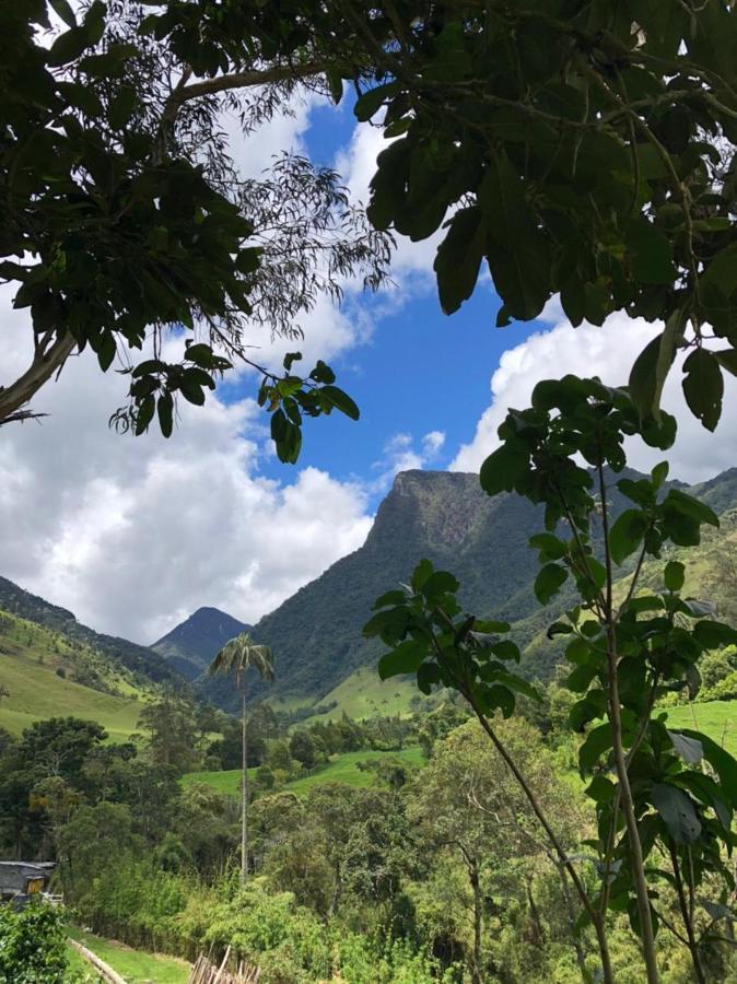 Cabanas Valle Del Cocora La Truchera ซาเลนโต ภายนอก รูปภาพ