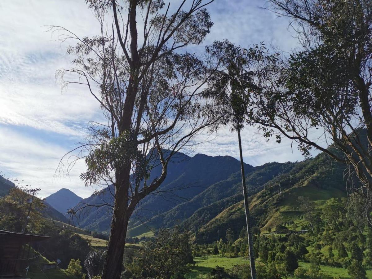 Cabanas Valle Del Cocora La Truchera ซาเลนโต ภายนอก รูปภาพ