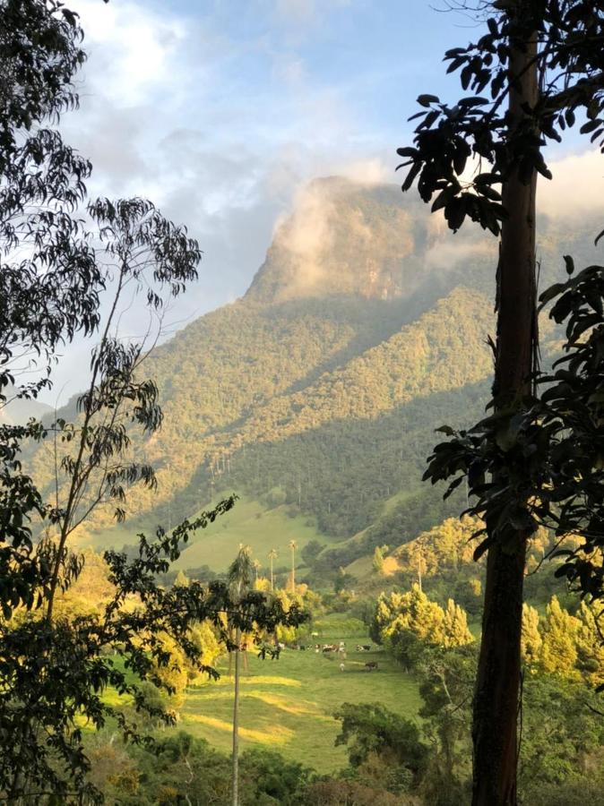 Cabanas Valle Del Cocora La Truchera ซาเลนโต ภายนอก รูปภาพ