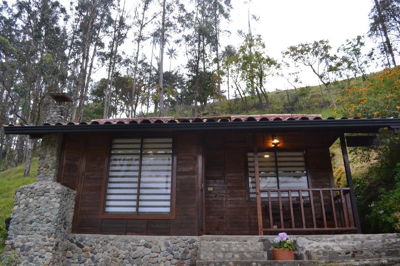Cabanas Valle Del Cocora La Truchera ซาเลนโต ภายนอก รูปภาพ