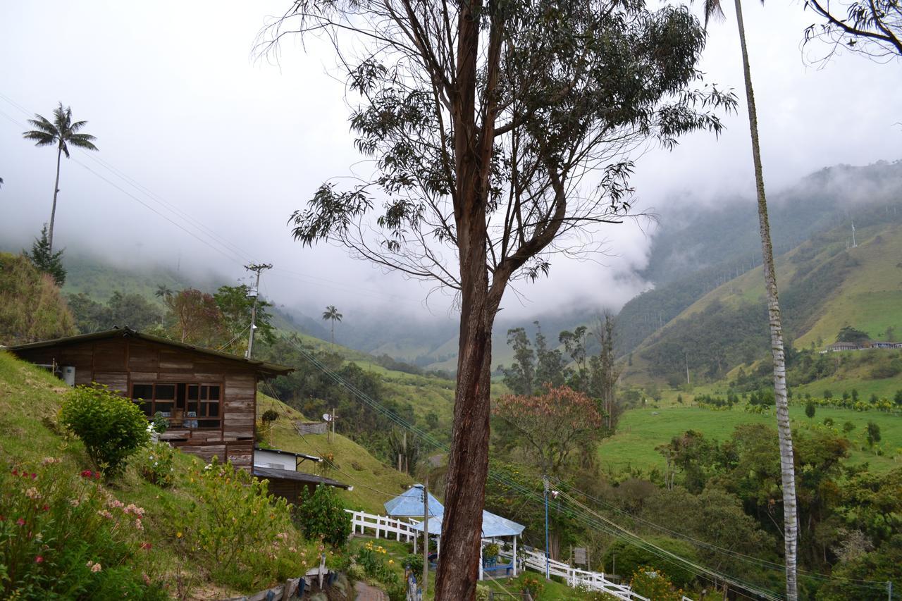 Cabanas Valle Del Cocora La Truchera ซาเลนโต ภายนอก รูปภาพ