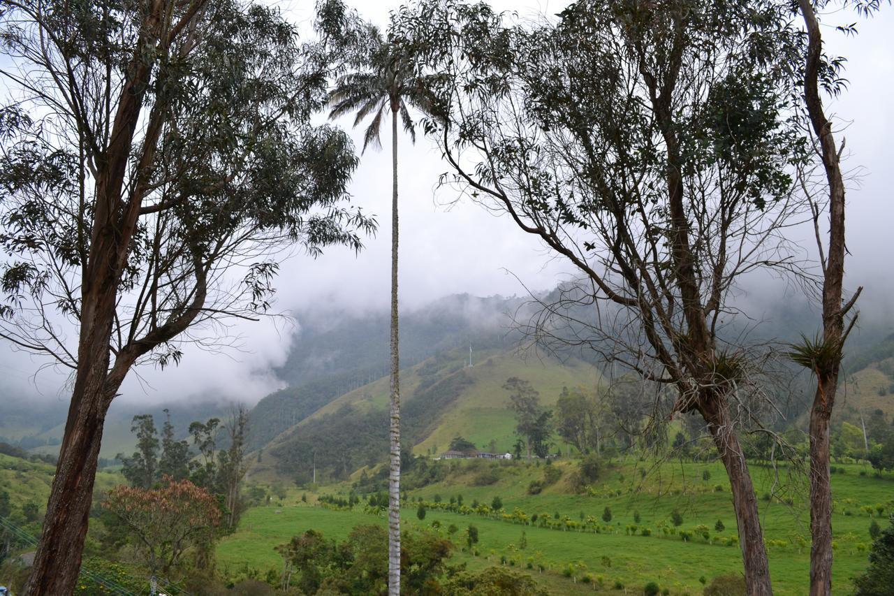 Cabanas Valle Del Cocora La Truchera ซาเลนโต ภายนอก รูปภาพ