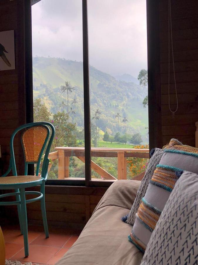 Cabanas Valle Del Cocora La Truchera ซาเลนโต ภายนอก รูปภาพ