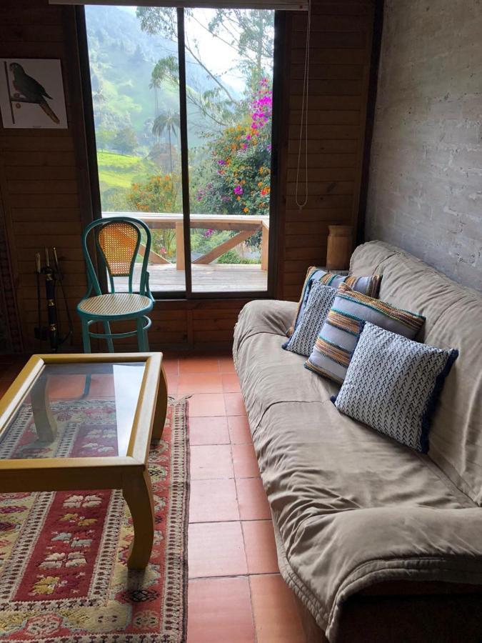 Cabanas Valle Del Cocora La Truchera ซาเลนโต ภายนอก รูปภาพ