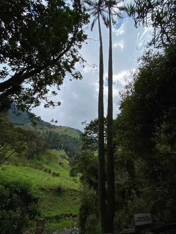 Cabanas Valle Del Cocora La Truchera ซาเลนโต ภายนอก รูปภาพ