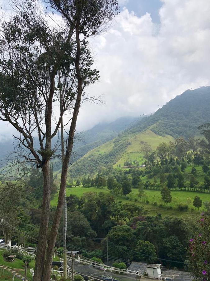 Cabanas Valle Del Cocora La Truchera ซาเลนโต ภายนอก รูปภาพ