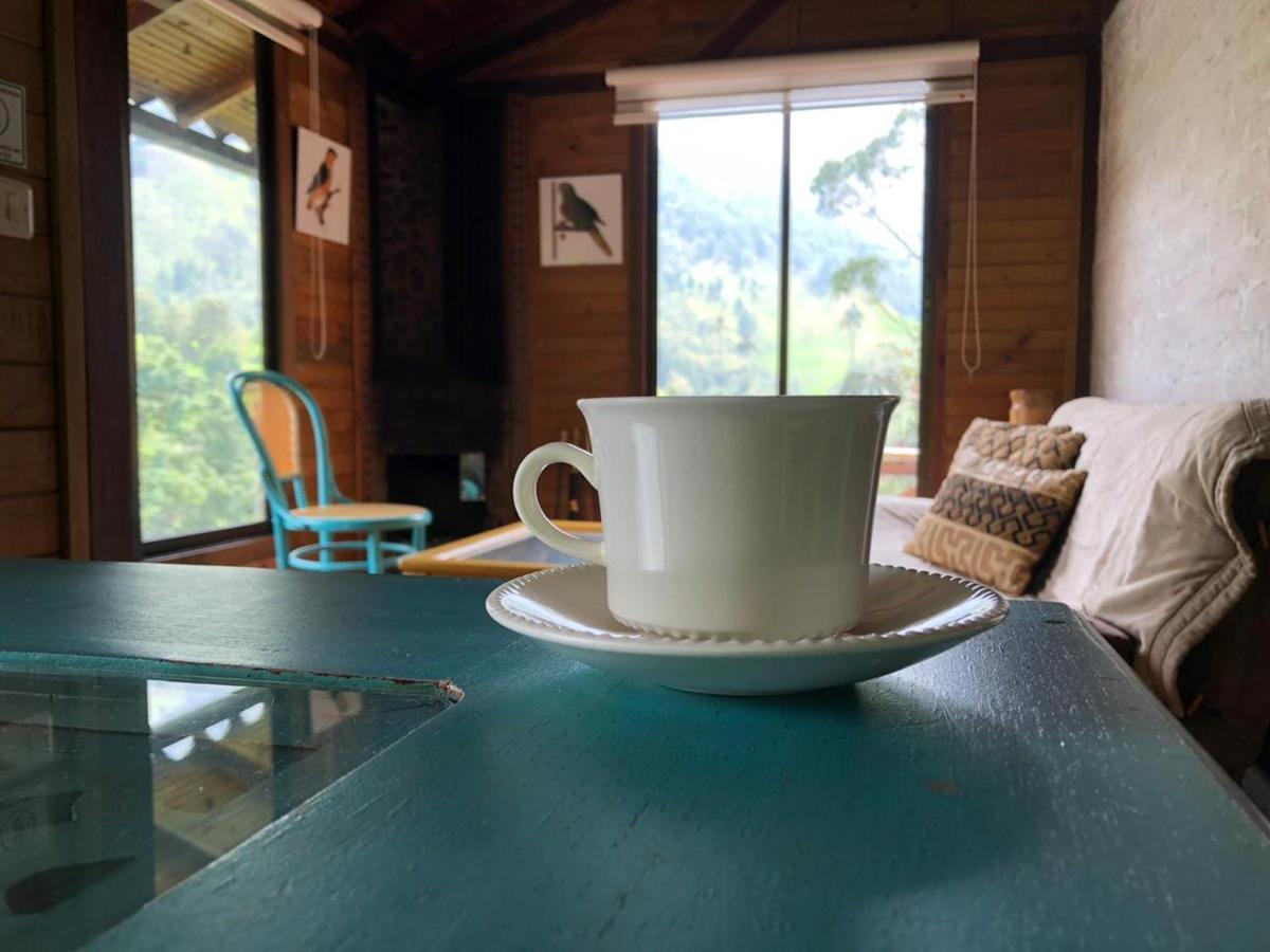 Cabanas Valle Del Cocora La Truchera ซาเลนโต ภายนอก รูปภาพ