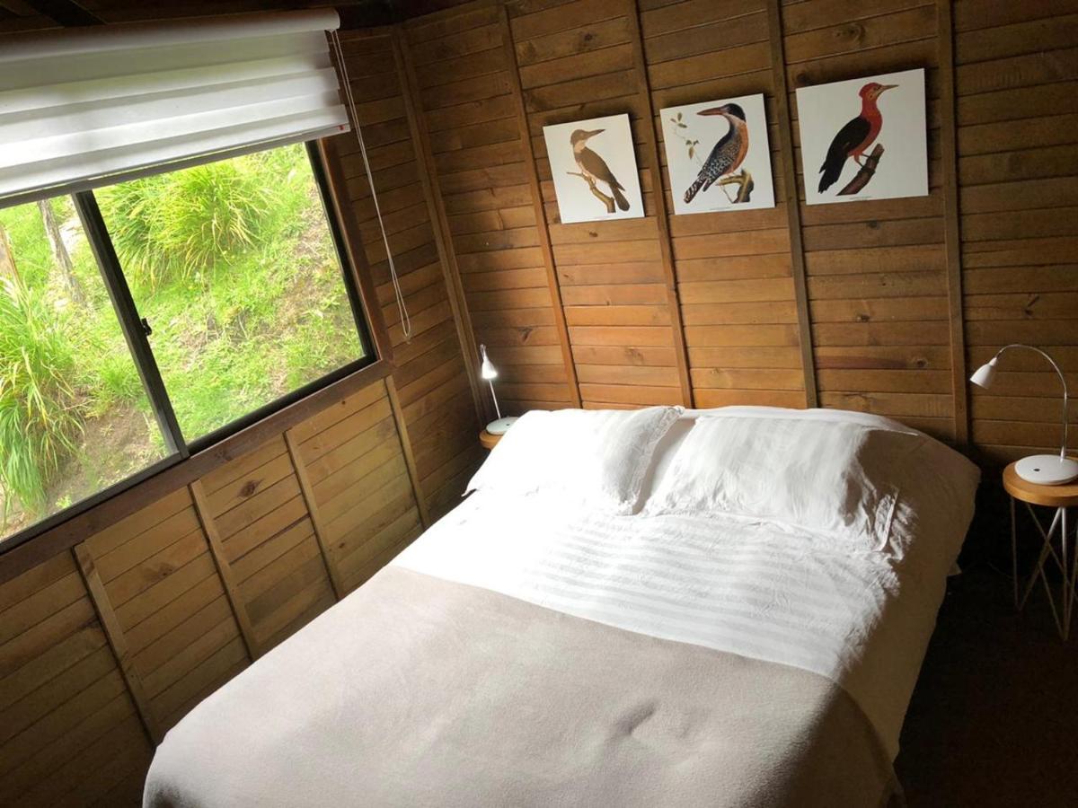Cabanas Valle Del Cocora La Truchera ซาเลนโต ภายนอก รูปภาพ